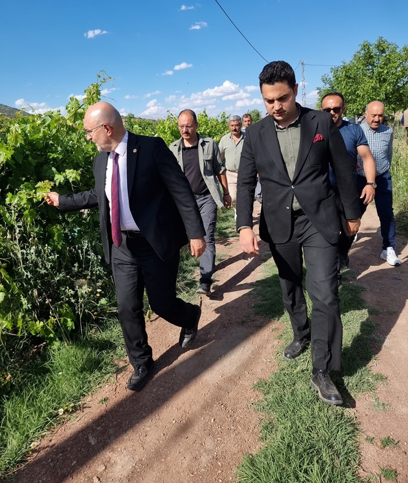 Zirai Don Olayı Meclis Araştırma Komisyonu Karaburun Köyü’nde İncelemelerde Bulundu